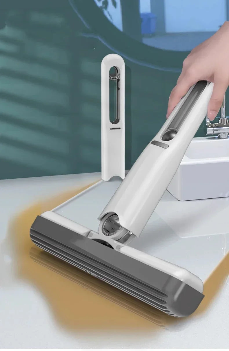 Mini Putzstab | Wasserschaber Und Tierhaarentferner Für Fenster Und Spiegel