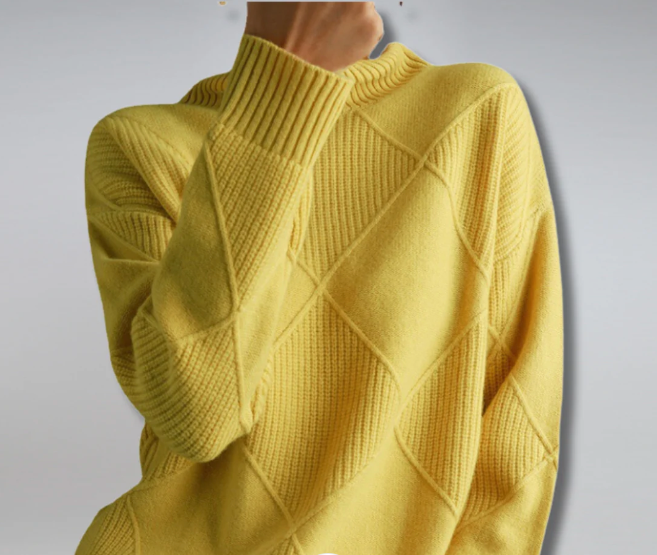 Pullover | Rollkragenpullover mit Strukturmuster