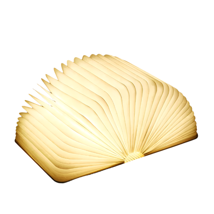 LED Buchlampe | Flexibel Einstellbar Tragbar für Lesen und Arbeiten