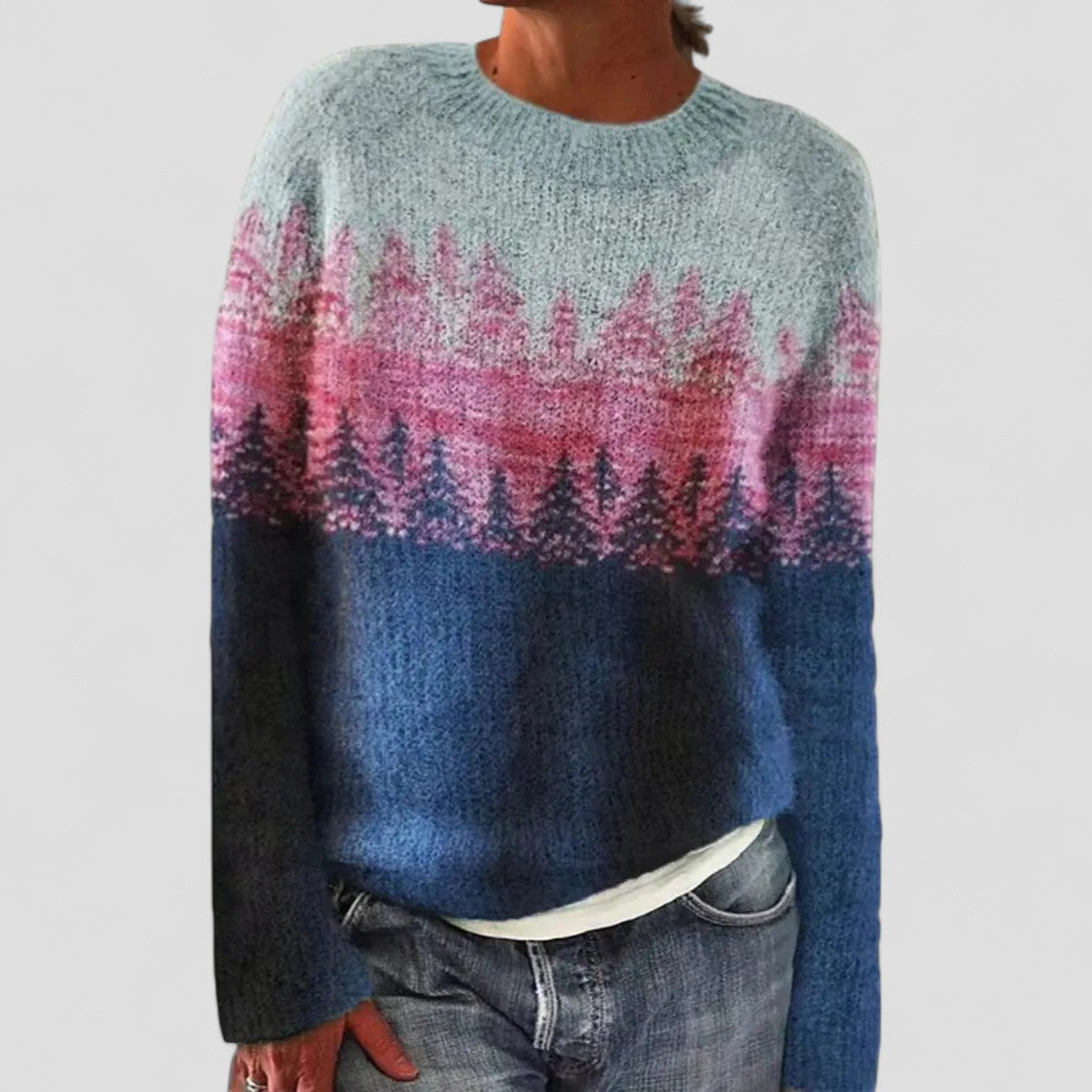 Strickpullover | Rundhals Mehrfarbiges Muste