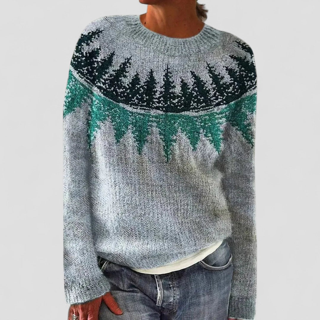 Strickpullover | Rundhals Mehrfarbiges Muste